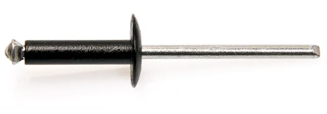 Boite de 250 Rivets Noir DEGOMETAL à Tête large 4.8x20 RAL9005