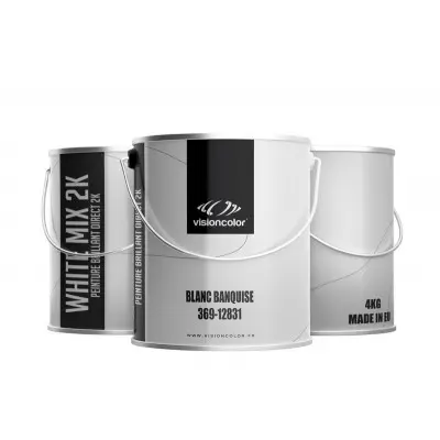 Peinture WHITE MIX brillant direct VisionColor 4kg