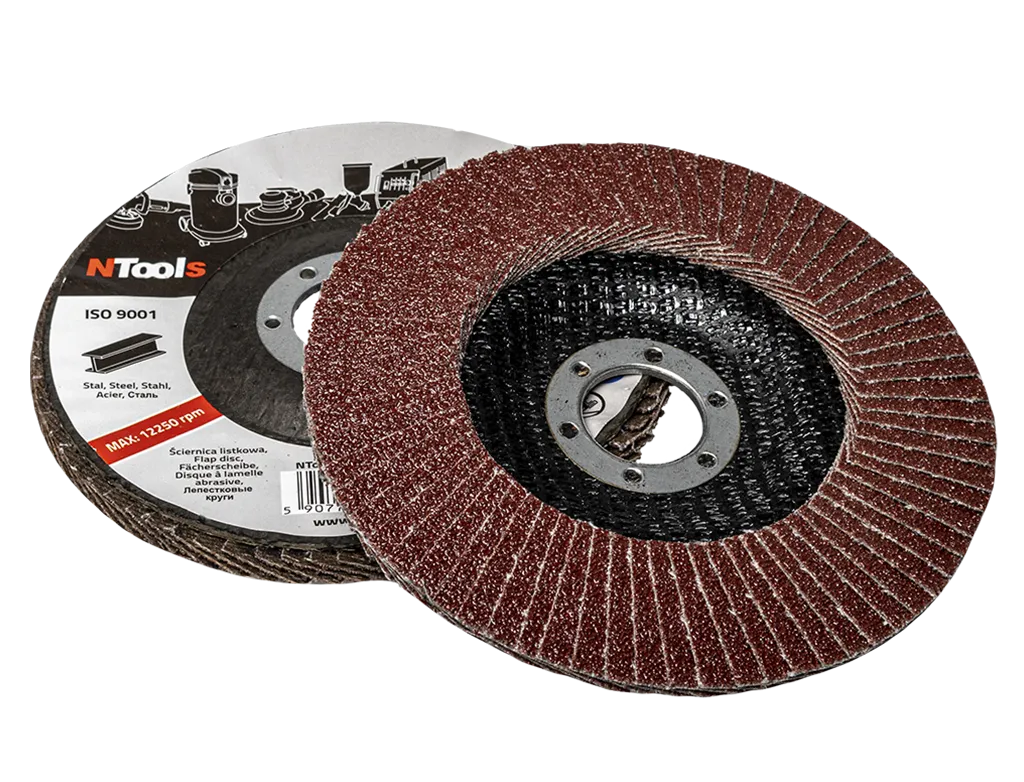 Disques Lamelles 125X22mm Grains P40/ P60/ P80 X10PCS (P40)
